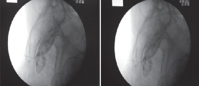 Figure 2)