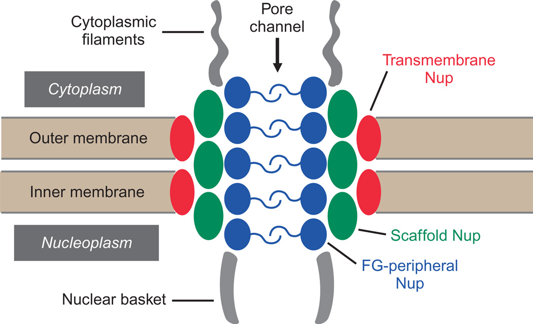 Figure 10.1