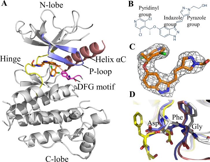 Fig 1