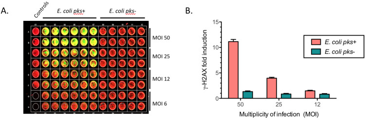 Figure 2.