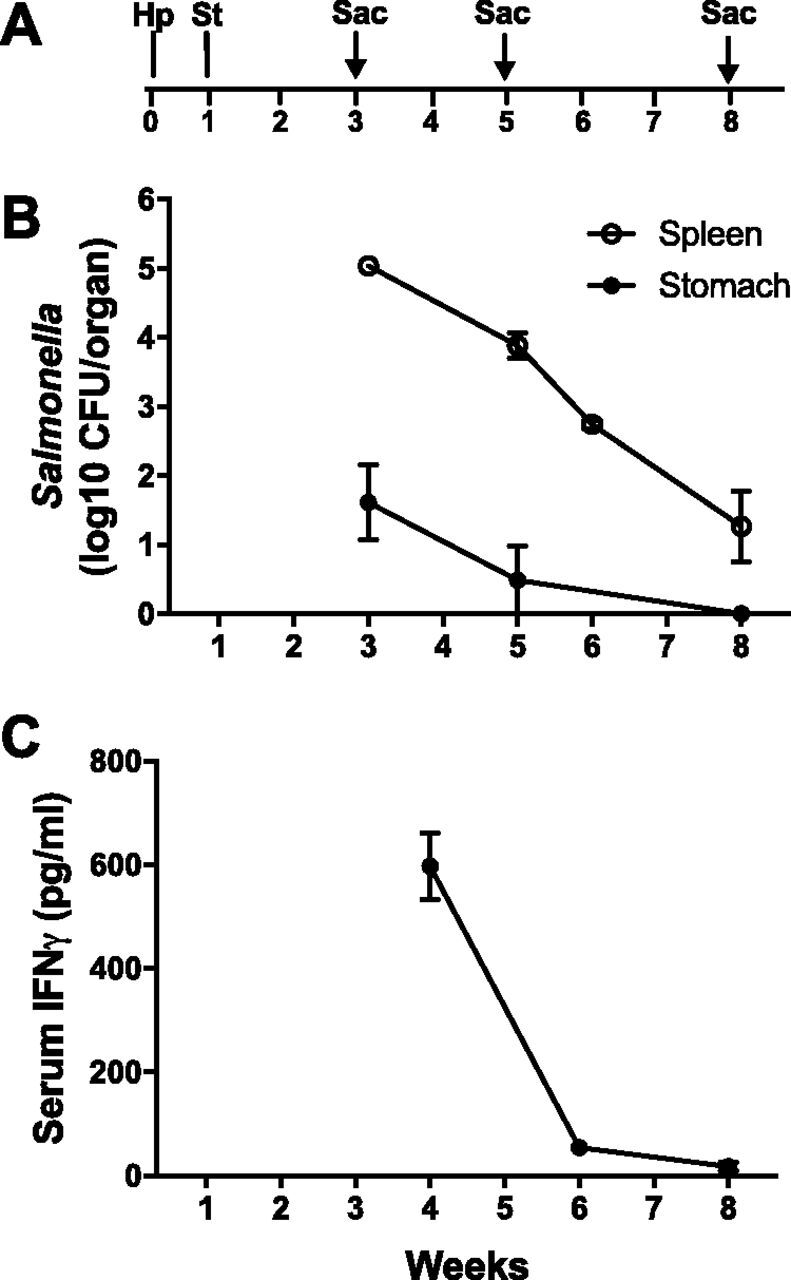 FIG 1