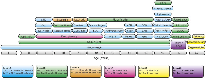 Fig. 1.