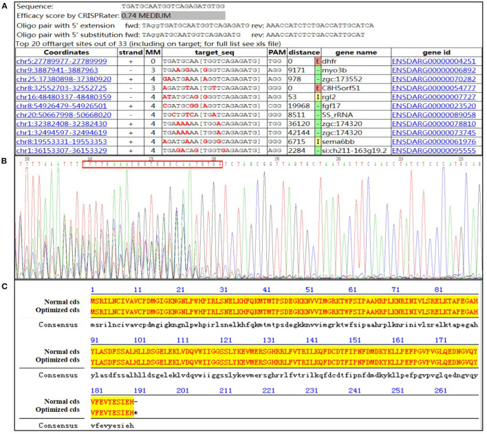 Figure 2