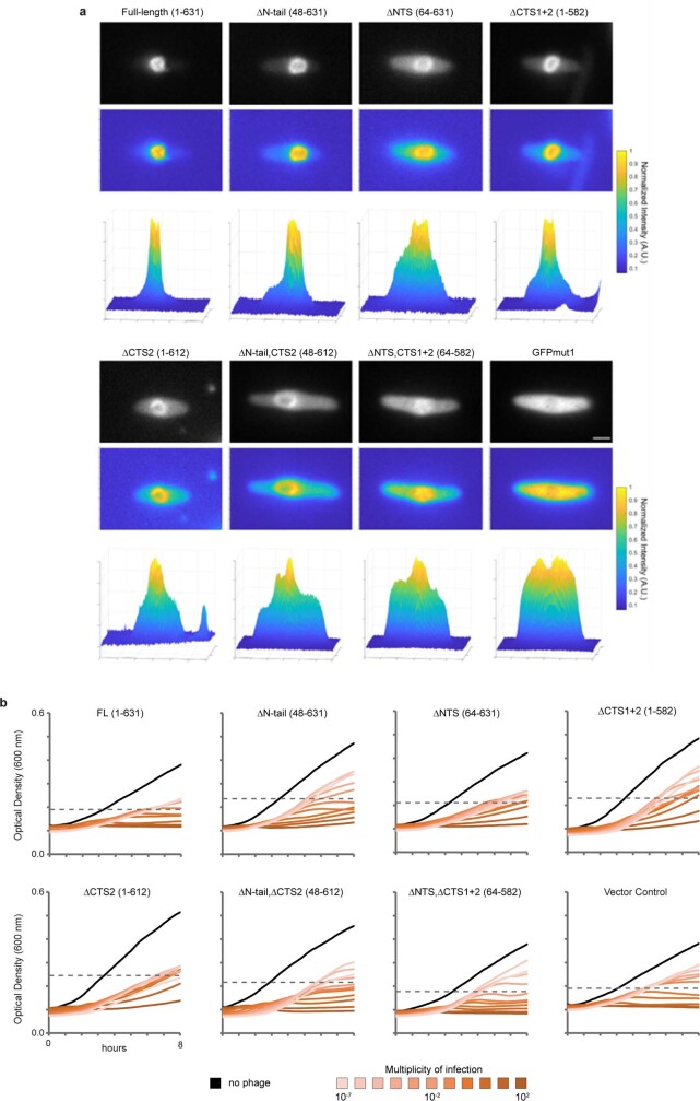 Extended Data Fig. 7