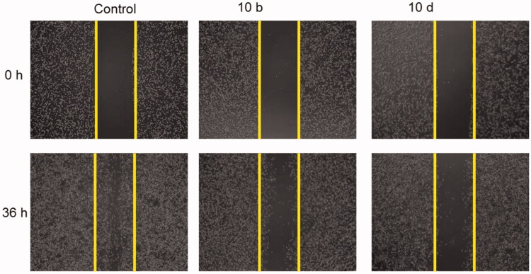 Figure 5.