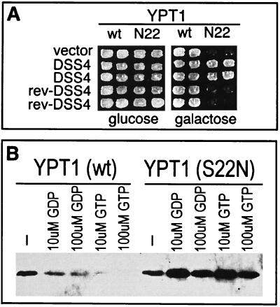 FIG. 1