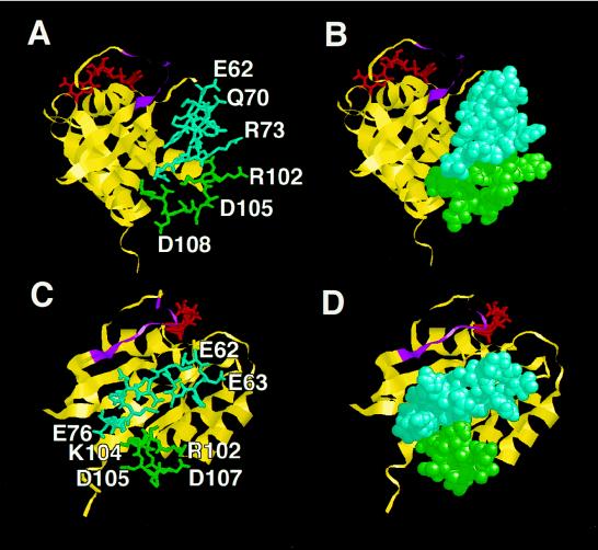 FIG. 7