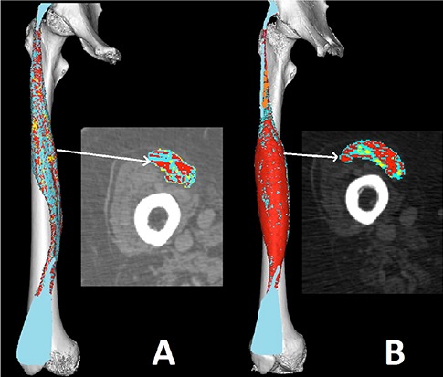 Fig 6.