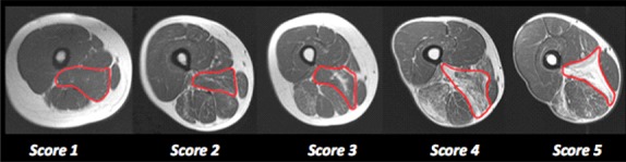 Fig 7.