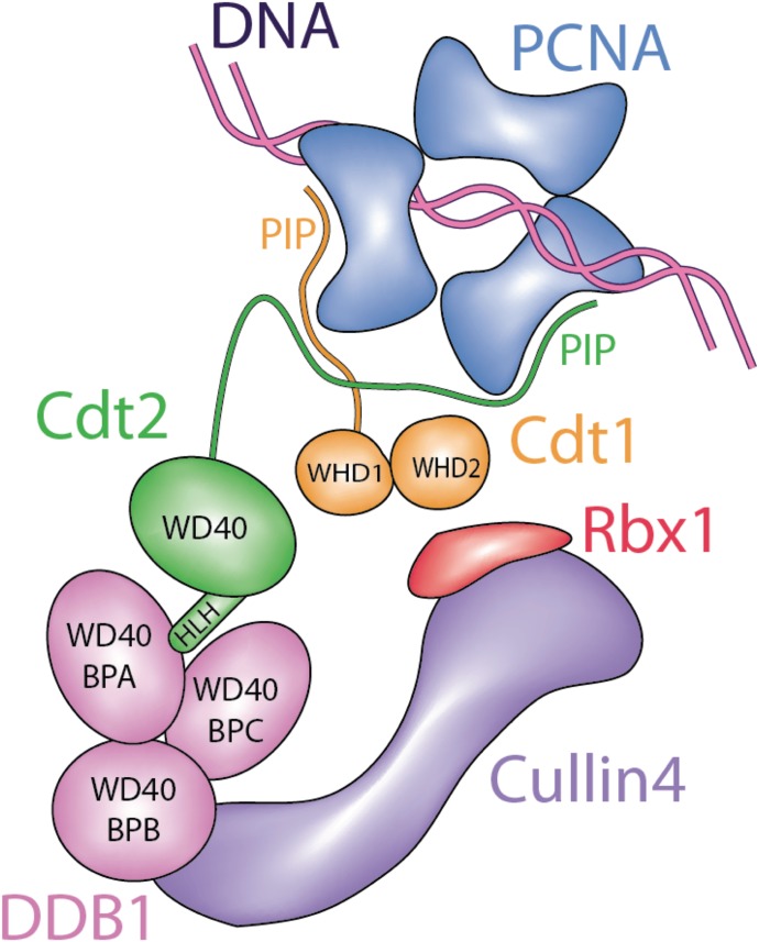 Figure 9.