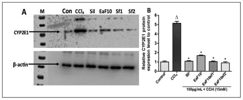 Figure 5