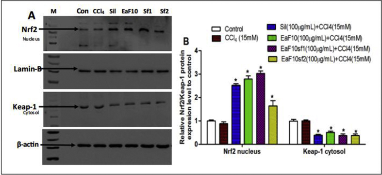 Figure 7