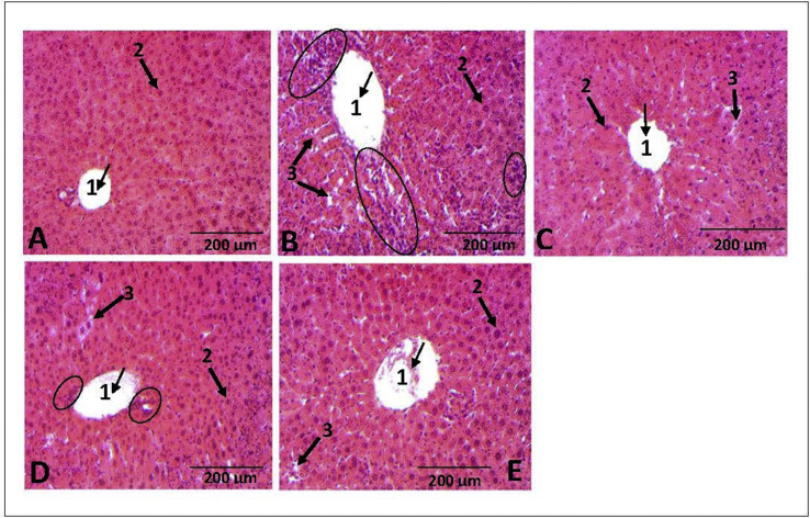 Figure 9