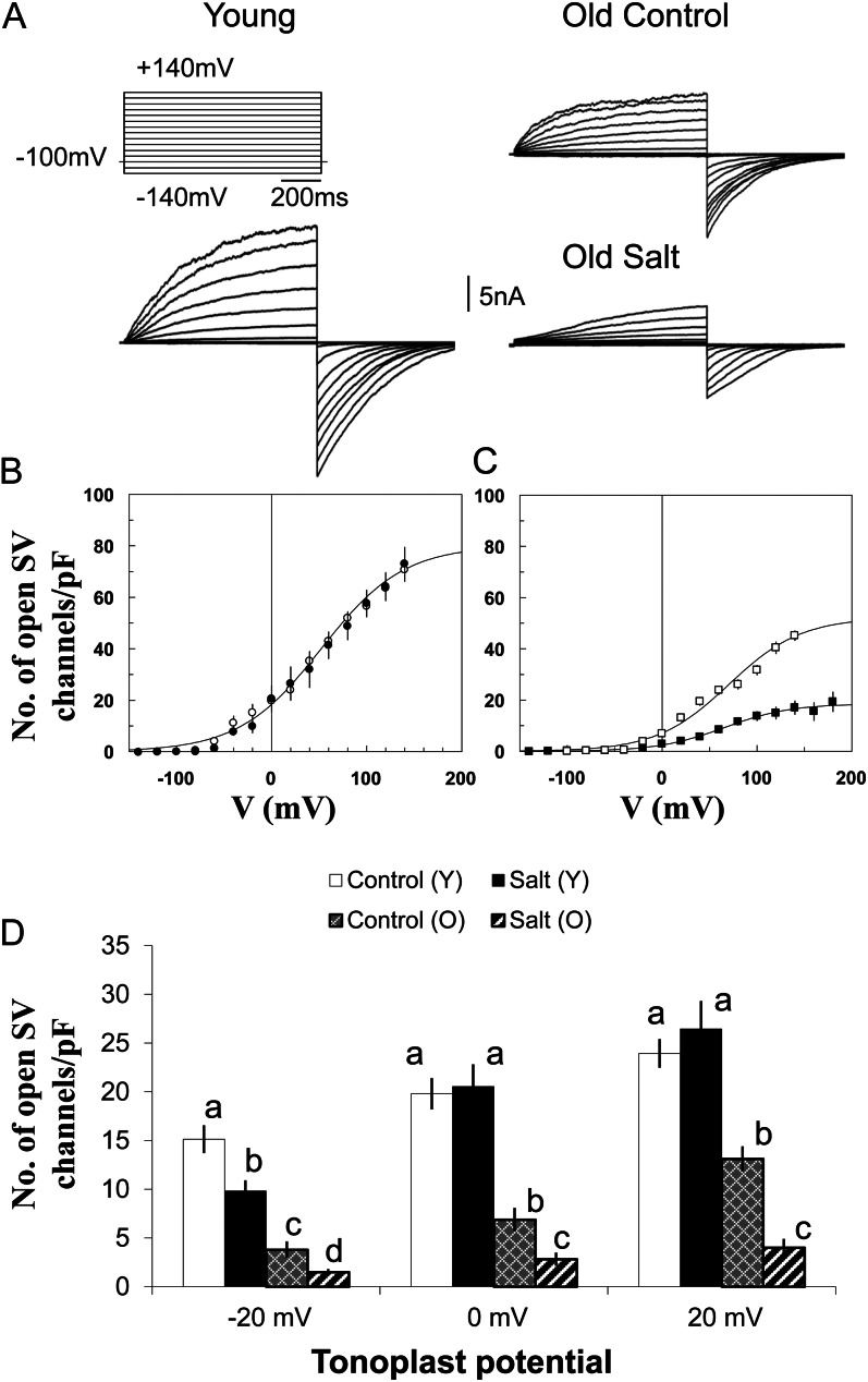 Figure 11.