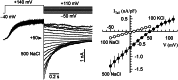 Figure 10.