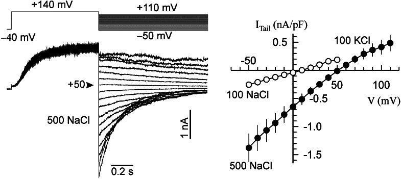 Figure 10.