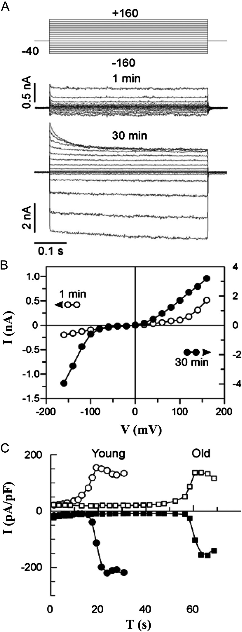 Figure 6.