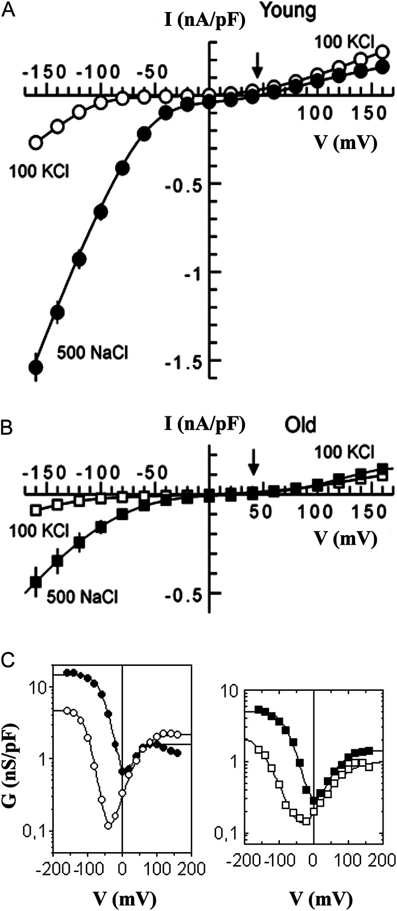 Figure 7.