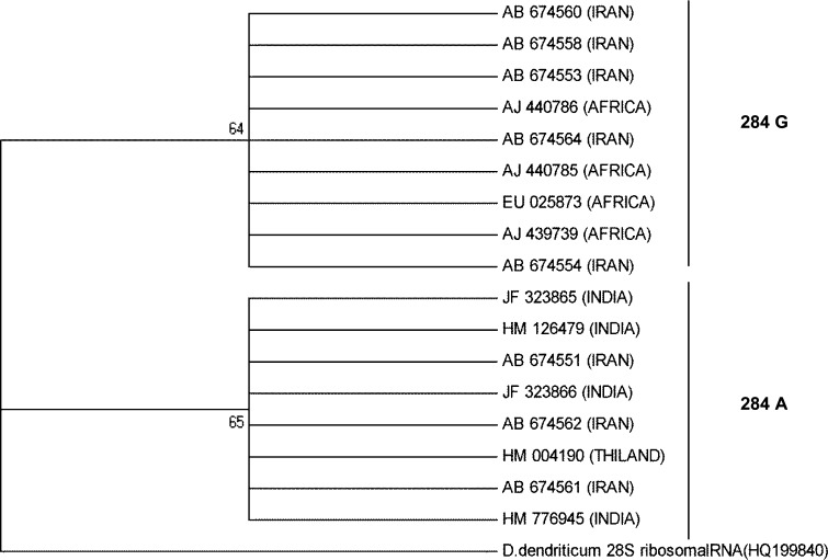 Fig. 3