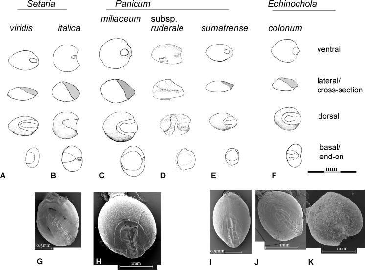 Fig 11