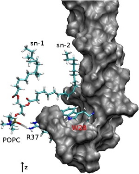 Figure 6