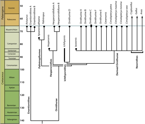 Fig. 4.