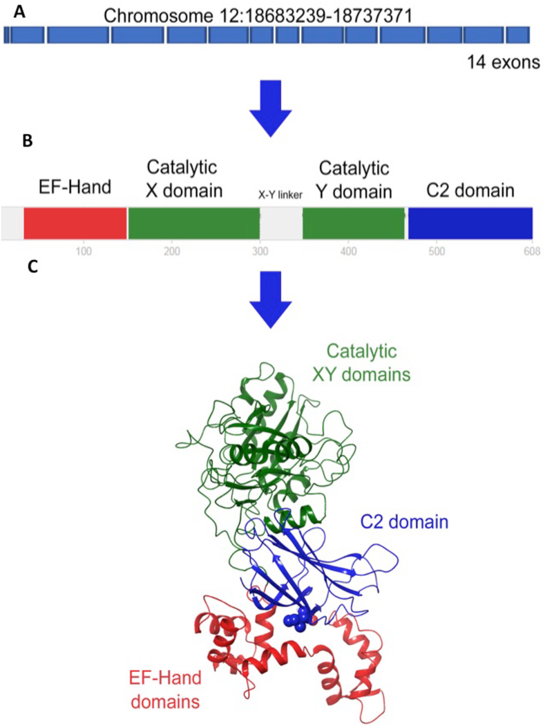 Figure 3.