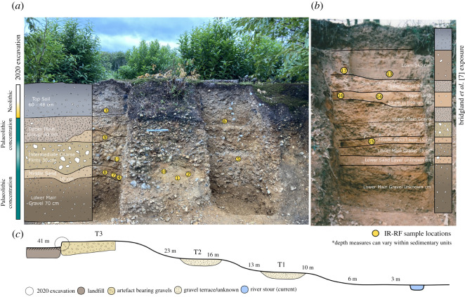 Figure 3. 