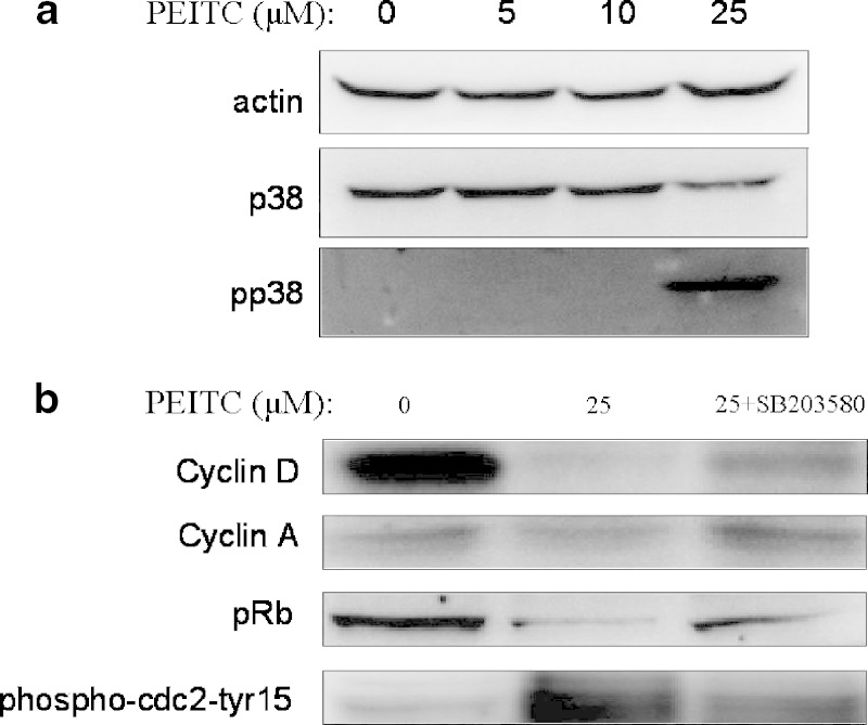 Fig. 5