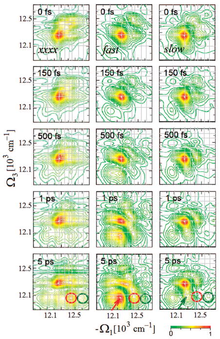 Figure 31