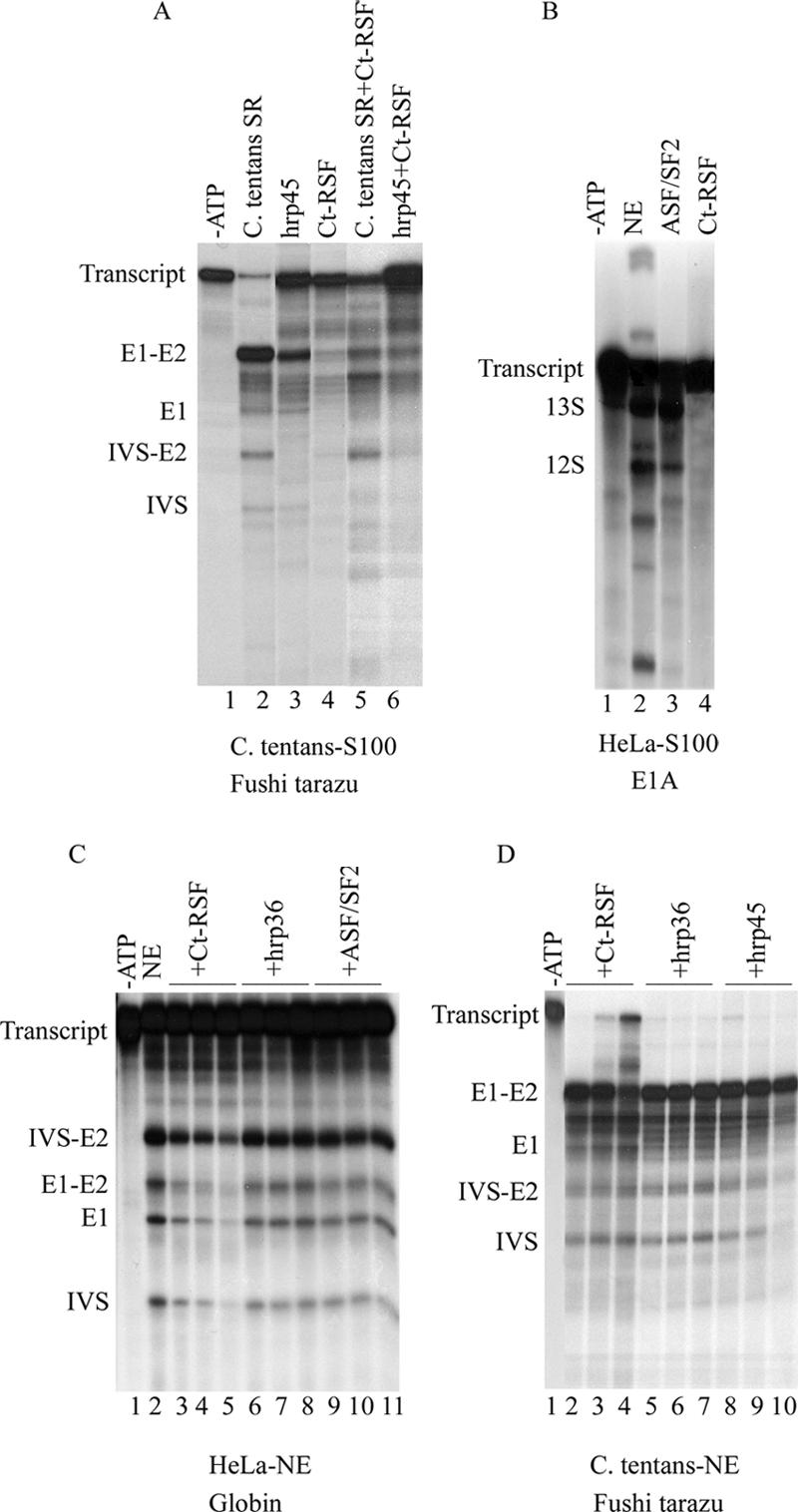 Figure 5.