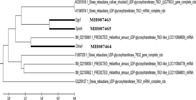 Figure 7