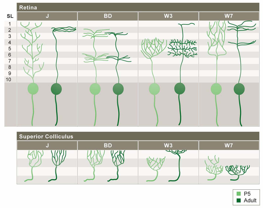 Figure 10