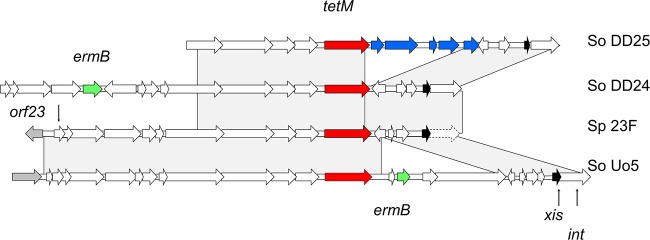 FIG 3 