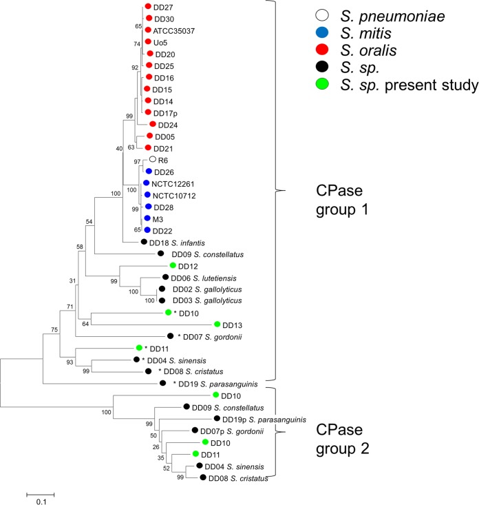 FIG 6 