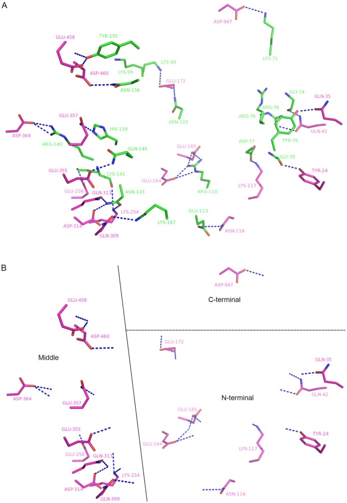 Figure 6—figure supplement 2.