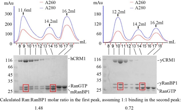 Figure 4—figure supplement 1.