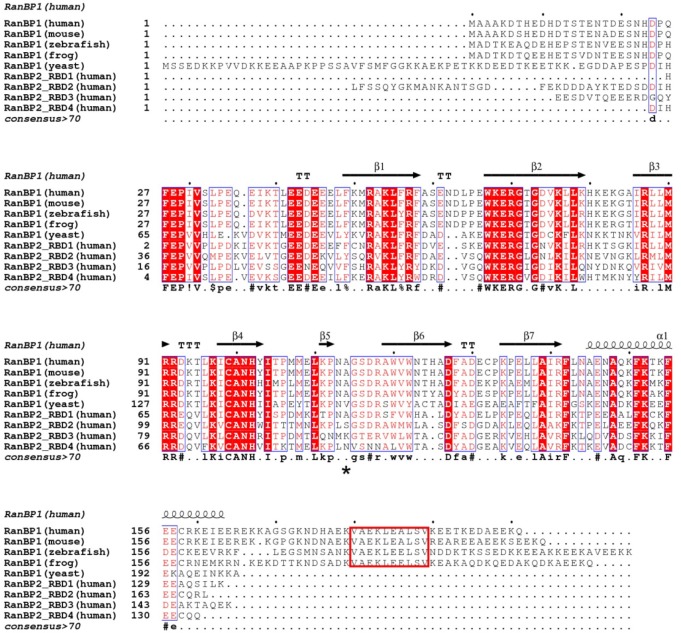 Figure 1—figure supplement 4.