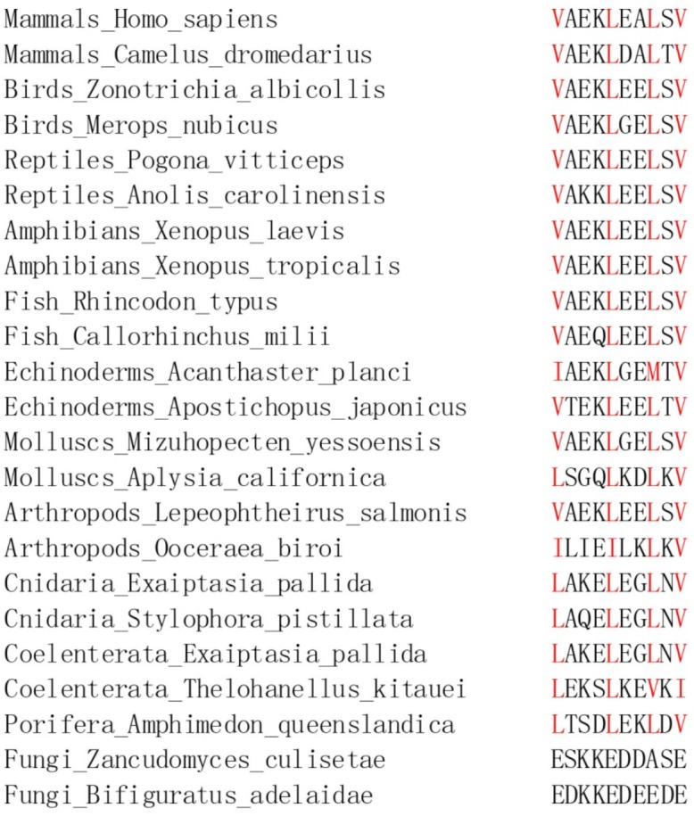 Figure 1—figure supplement 1.