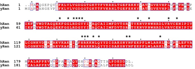 Figure 6—figure supplement 3.