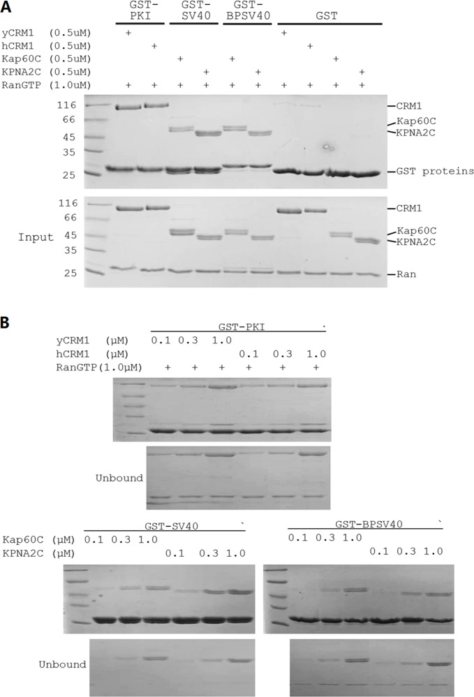 Figure 8—figure supplement 1.