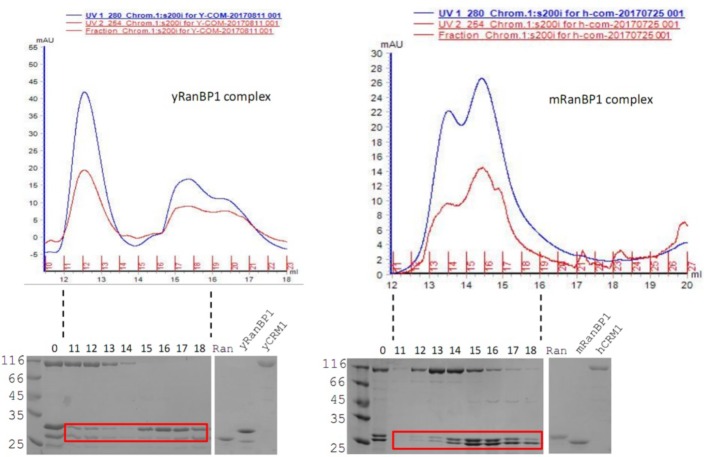 Figure 1—figure supplement 2.