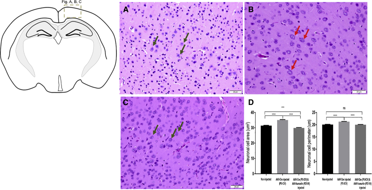 Figure 5