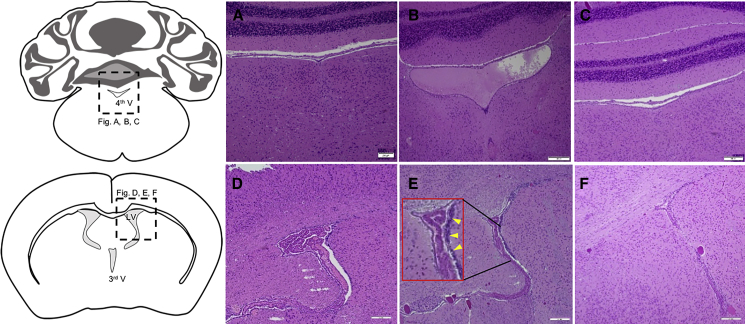 Figure 3