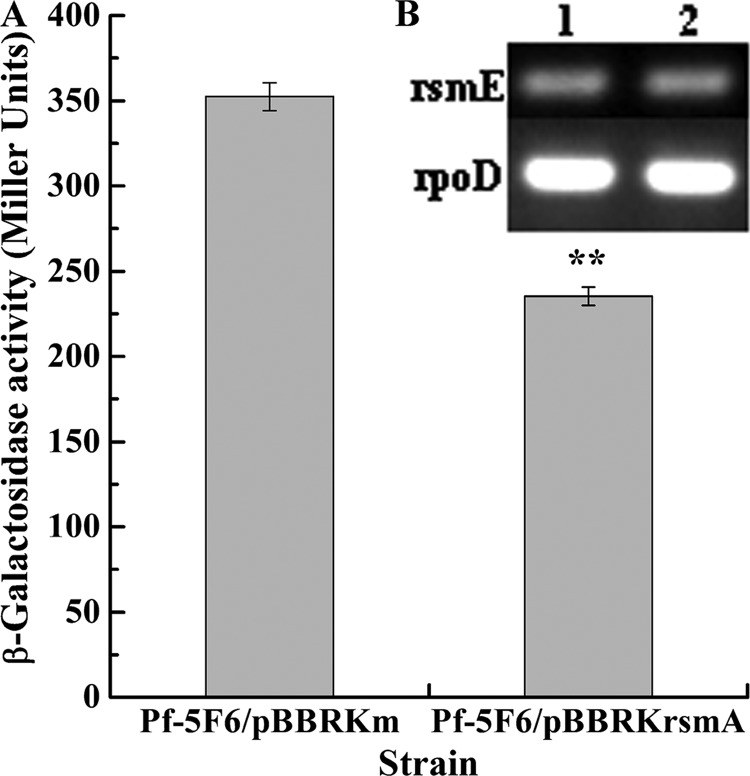 FIG 6