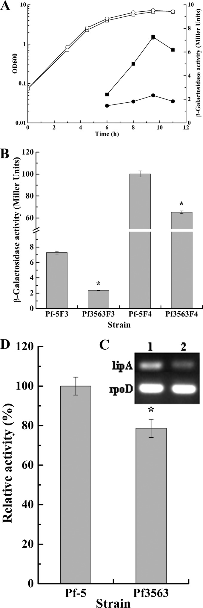 FIG 2