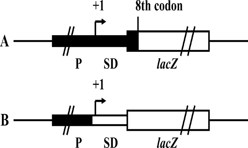 FIG 1