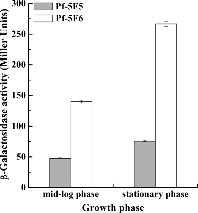 FIG 7