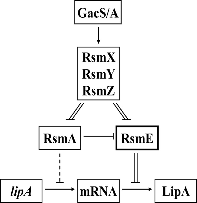 FIG 8