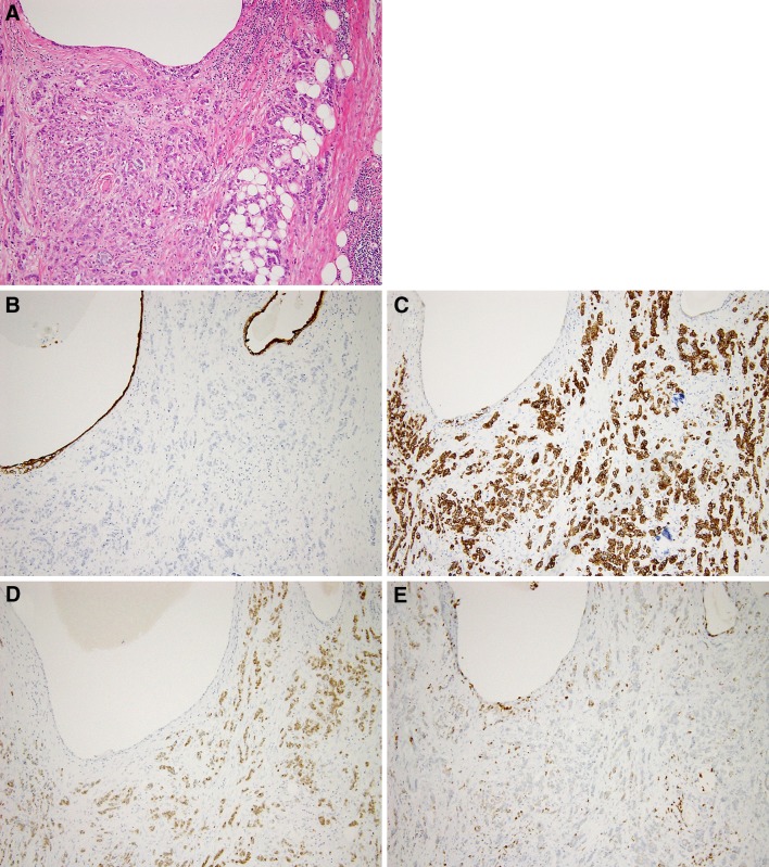 Fig. 3